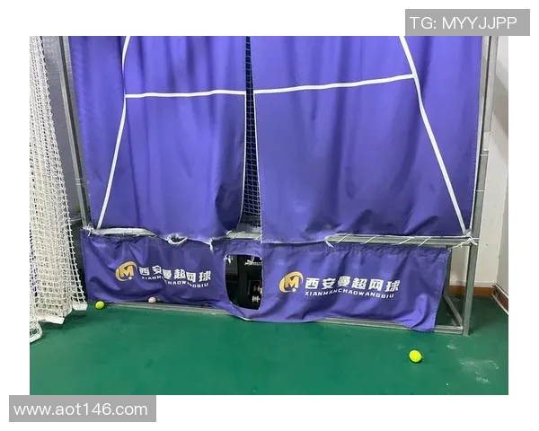 优化体育场馆周边交通体系提升赛事观众出行便利性与安全性